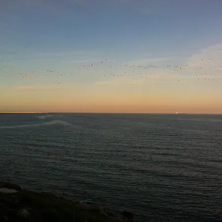 Vila Brandusa 3* Эфорие Норд