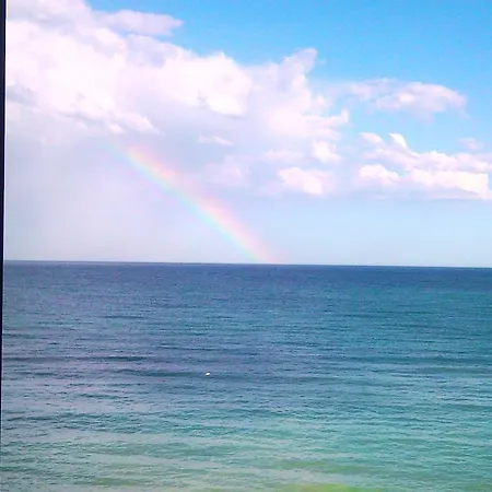 Vila Brandusa Гостевой дом