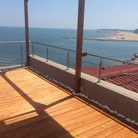 Гостевой дом Vila Brandusa