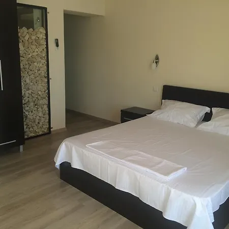 Гостевой дом Vila Brandusa 3*