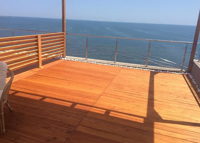 Vila Brandusa Эфорие Норд