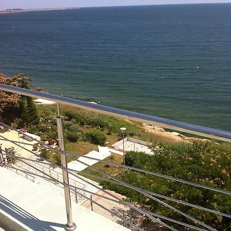 Guest house Vila Brandusa 3*