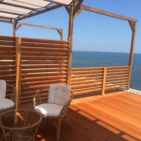 Guest house Vila Brandusa