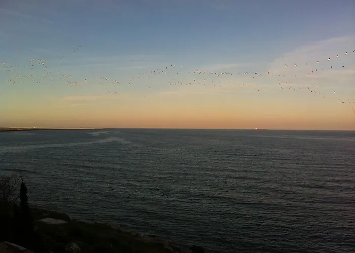 Vila Brandusa 3* Eforie Nord