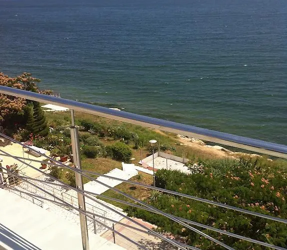 Guest house Vila Brandusa 3*