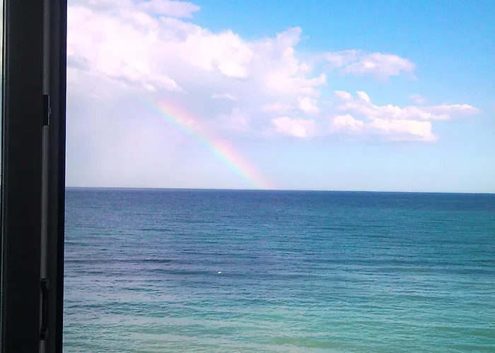 Vila Brandusa Guest house